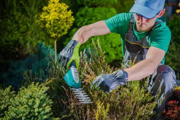 landscaping services Bloomsdale